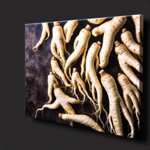 Korean white ginseng roots on a canvas, illustrating a spectrum of sizes and the intricate detailing of each root. This image