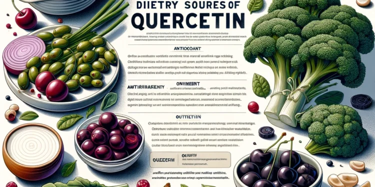 educational poster focusing on the dietary sources of Quercetin and its health benefits. The poster should be designed with a cle